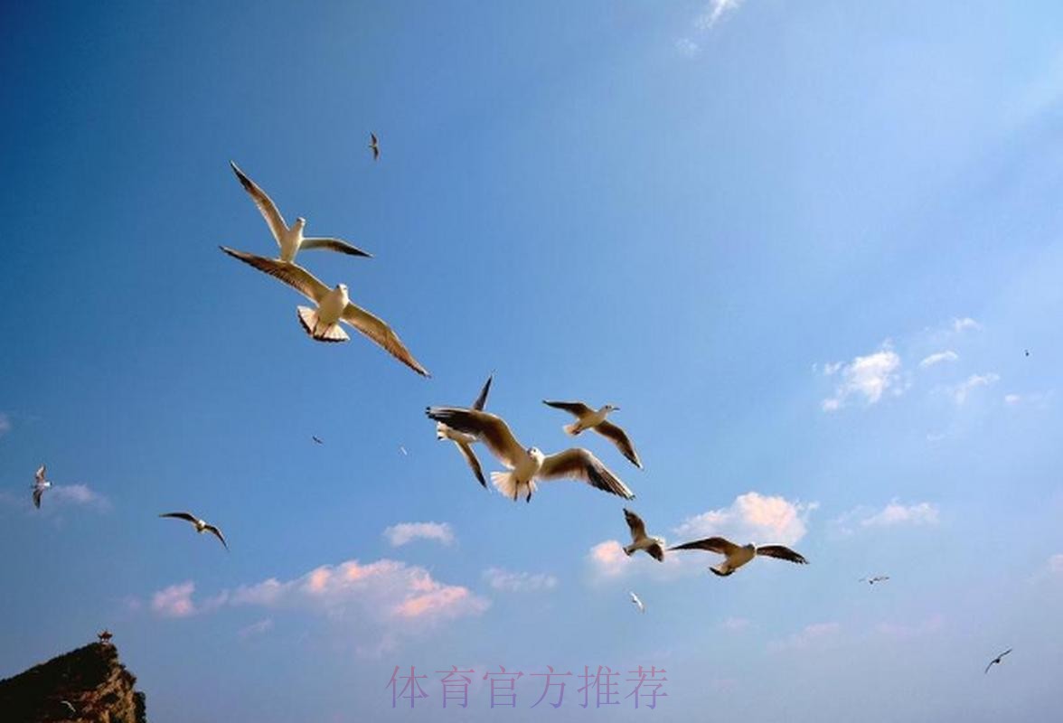 维杜:不够专注致丢球 对方的长传球具威胁 维杜:不够专注致丢球 对方的长传球具威胁